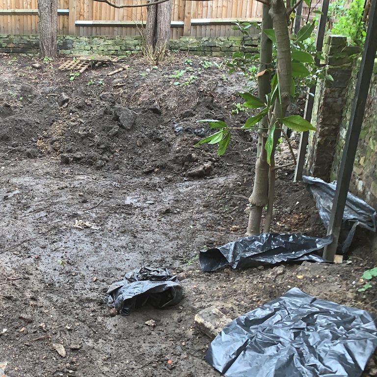 Family Garden, Clapton, London